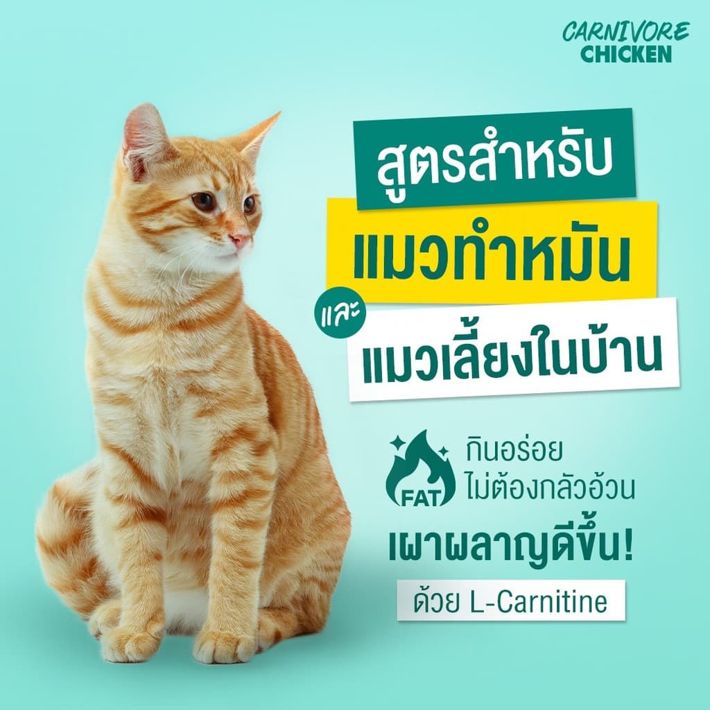 Pramy Carnivore อาหารเม็ดแมว สำหรับแมวโต ขนาด 5.6-7 kg รูปที่ 5