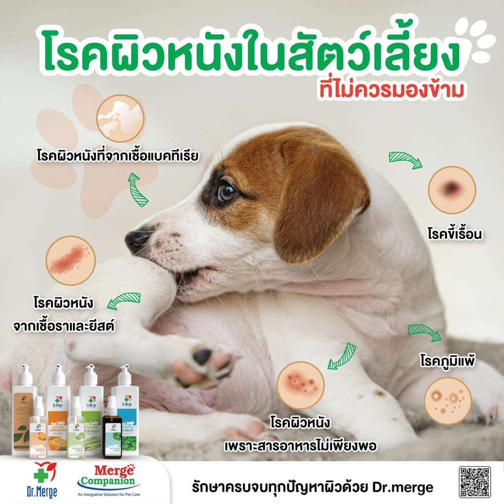 Dr.Merge Toner / Shampoo สูตรสมุนไพร สารสกัดจากธรรมชาติ สำหรับสัตว์เลี้ยง รูปที่ 3