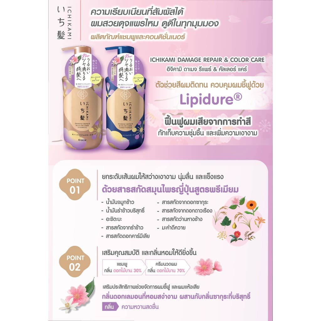 MORITOMO Official - ICHIKAMI DAMAGE REPAIR & COLOR CARE CONDITIONER 320 g / ครีมนวด ถุงเติม เส้นผมสว่าง ชุ่มชื้น รูปที่ 4