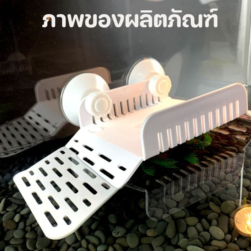 COD ระเบียงเต่า บันไดปีนขึ้นตู้ปลา ตู้เต่า ทางลาดอะคริลิก ถ้วยดูด สำหรับพักน้ำสูง เกาะลอยน้ำลึก แท่นลอยตากหลัง รูปที่ 7