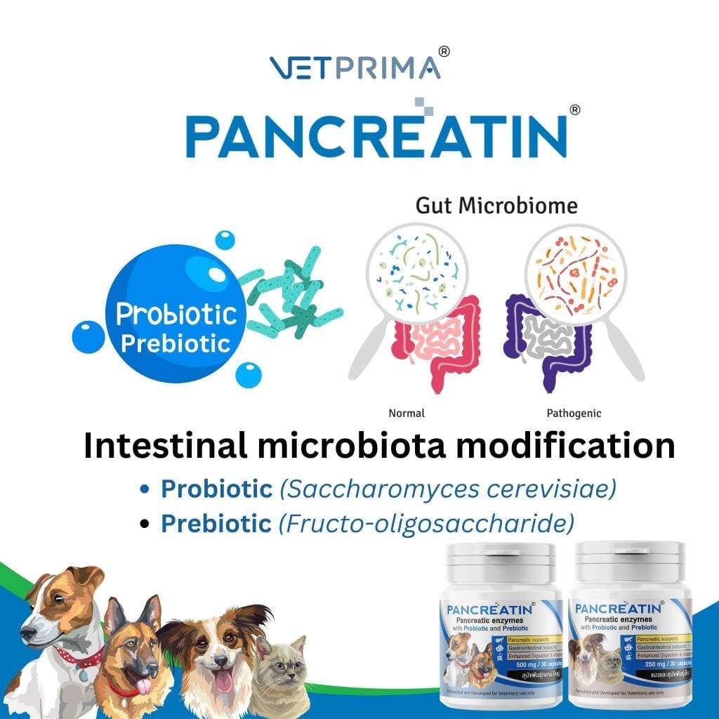 Pancreatin ผลิตภัณฑ์เอ็นไซม์เสริมอาหาร สำหรับสุนัขและแมวที่มีภาวะตับอ่อนอักเสบ 30 แคปซูล รูปที่ 4