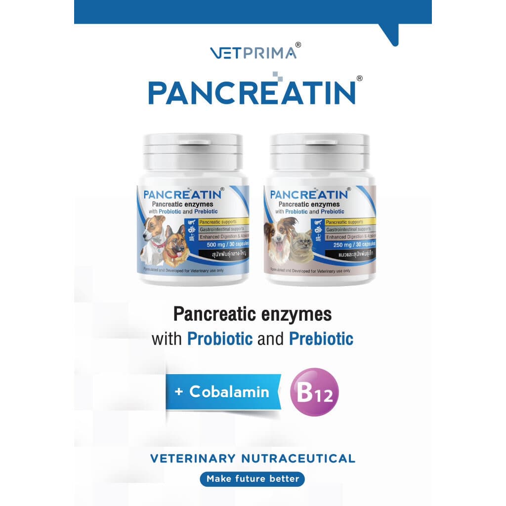 Pancreatin ผลิตภัณฑ์เอ็นไซม์เสริมอาหาร สำหรับสุนัขและแมวที่มีภาวะตับอ่อนอักเสบ 30 แคปซูล รูปที่ 8