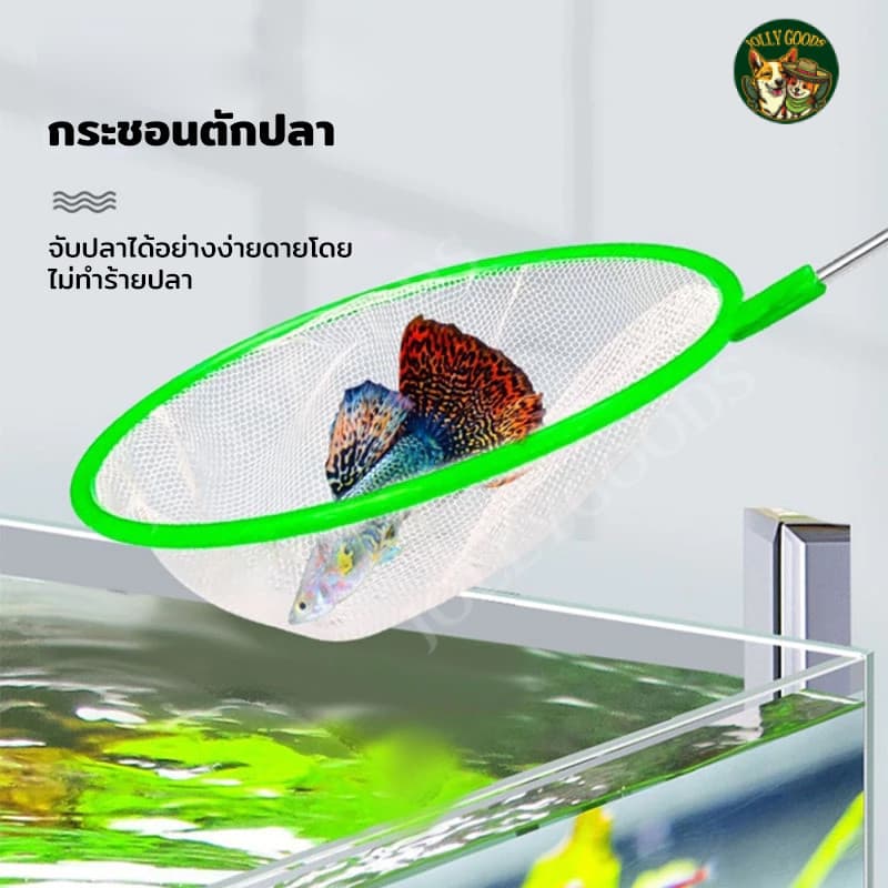 กระชอนตักปลา ที่ตักกุ้งพลาสติก ตาข่ายตักปลา มี 3 ขนาด ใช้งานง่าย รูปที่ 4