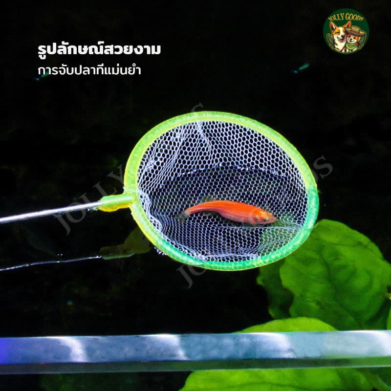 กระชอนตักปลา ที่ตักกุ้งพลาสติก ตาข่ายตักปลา มี 3 ขนาด ใช้งานง่าย รูปที่ 6