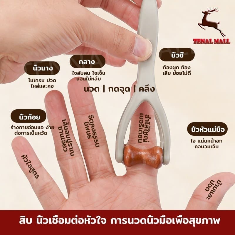 เครื่องนวดนิ้วอเนกประสงค์ทำจากไม้เนื้อแข็ง/เครื่องนวดนิ้วแบบพกพา/อุปกรณ์ดูแลมือเพื่อคลายปมเส้นลมปราณ รูปที่ 4