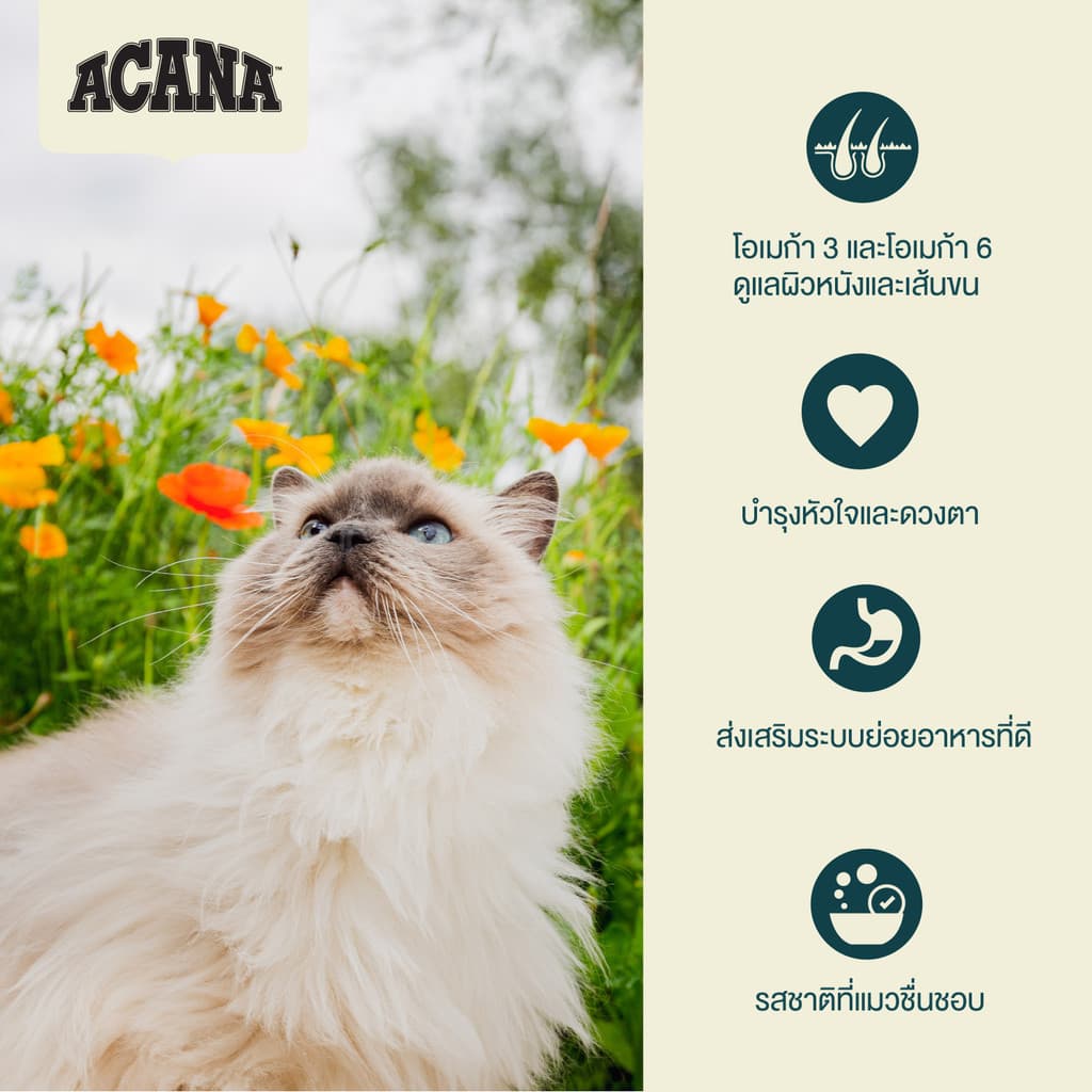 Acana food for cat อะคานา อาหารแมว Premium food with ปริมาณ 4.5kg รูปที่ 3