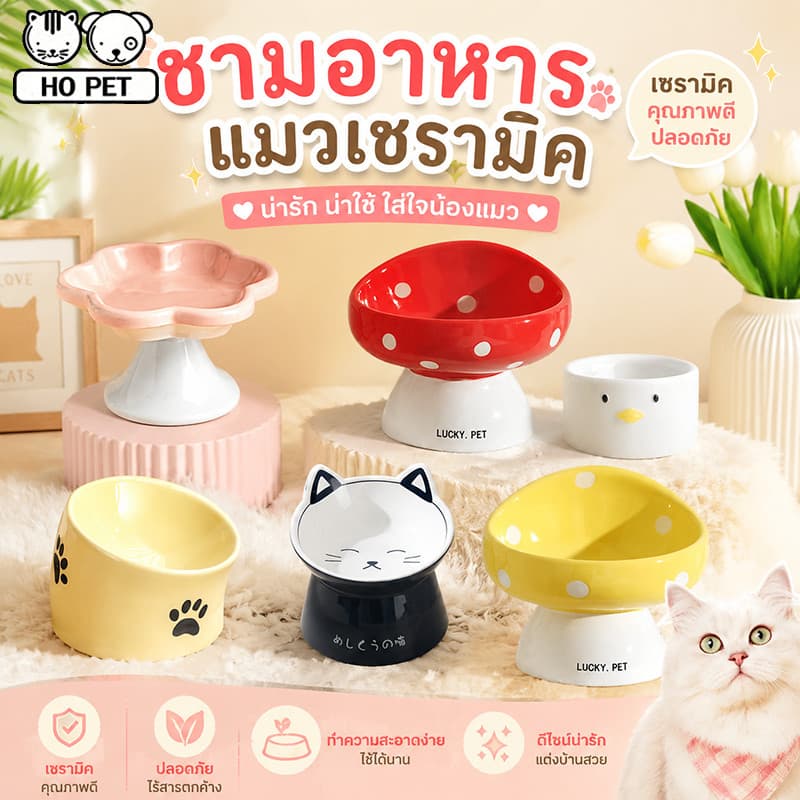 ชามอาหารแมวเซรามิค รูปร่างเห็ด น่ารักมาก ทนทาน สำหรับสัตว์เลี้ยง สุนัข แมว รูปที่ 1