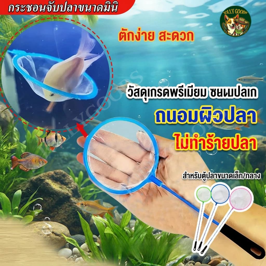 กระชอนตักปลา ที่ตักกุ้งพลาสติก ตาข่ายตักปลา มี 3 ขนาด ใช้งานง่าย รูปที่ 1