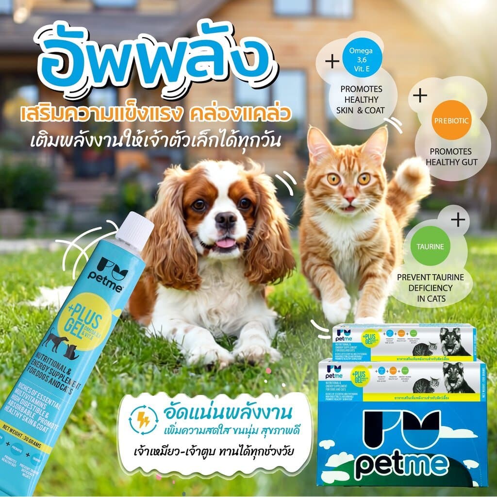 Petme +Plus Gel อาหารเสริมเพิ่มพลังงาน สำหรับสุนัขและแมว รูปที่ 5