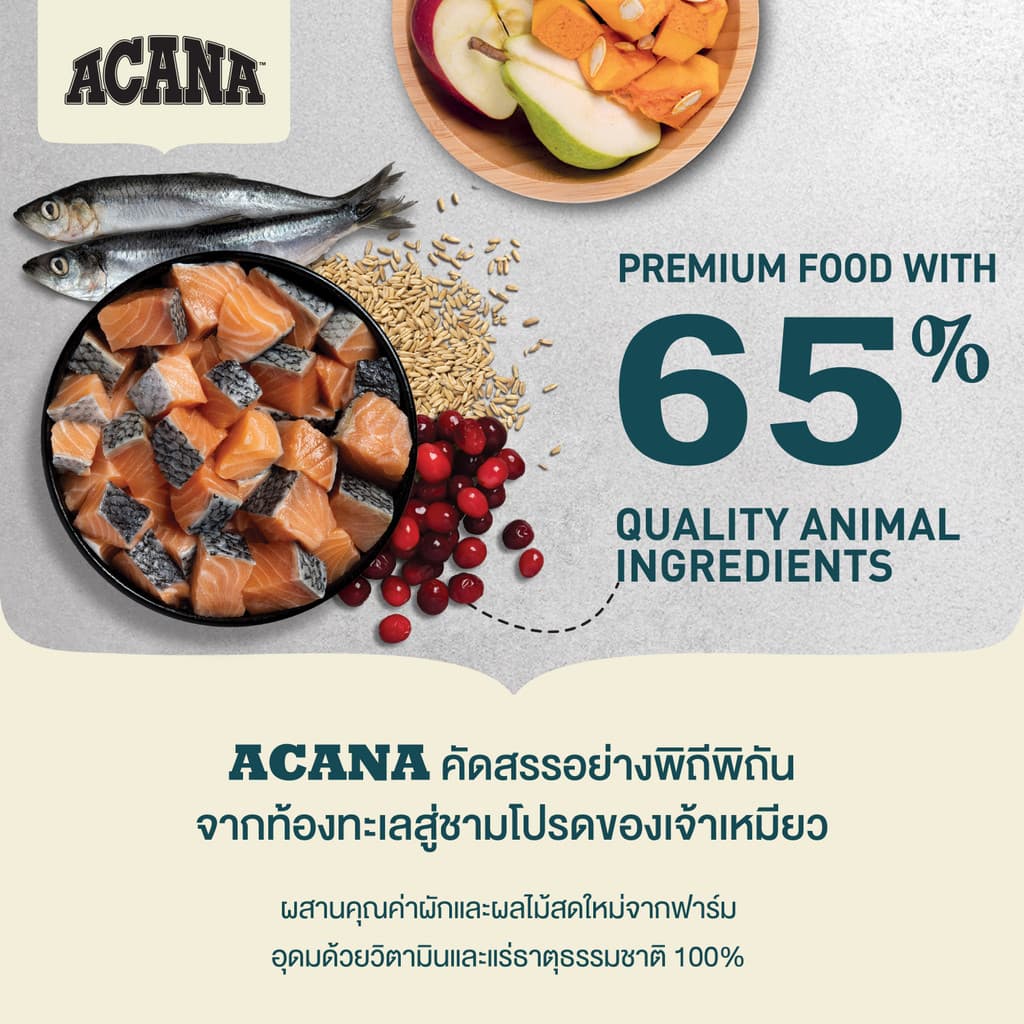 Acana food for cat อะคานา อาหารแมว Premium food with ปริมาณ 4.5kg รูปที่ 4