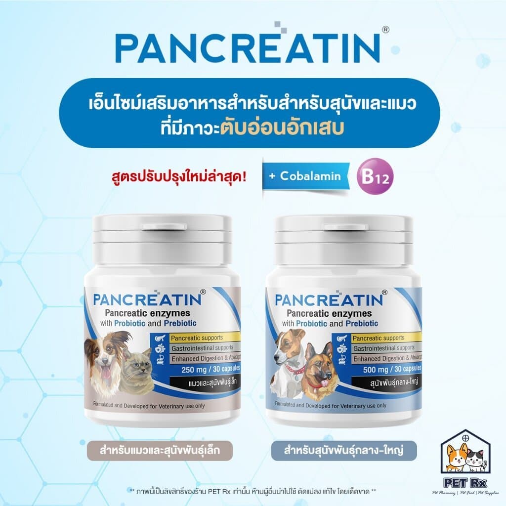 Pancreatin ผลิตภัณฑ์เอ็นไซม์เสริมอาหาร สำหรับสุนัขและแมวที่มีภาวะตับอ่อนอักเสบ 30 แคปซูล รูปที่ 1