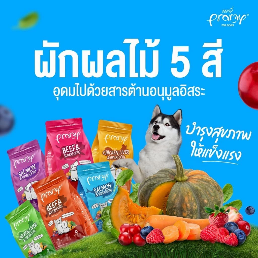 Pramy for Dogs พรามี่ อาหารเม็ดสุนัขเกรดพรีเมี่ยม พันธุ์เล็กและพันธุ์ใหญ่ขนาด 1 - 1.3Kg รูปที่ 5