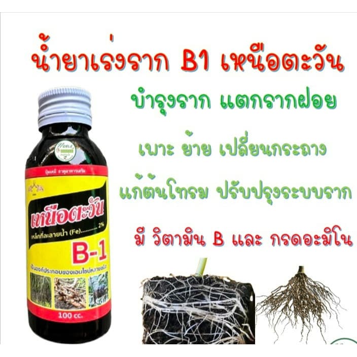 น้ำยาเร่งราก B-1 บีวัน Speed B1 Extra Plus ขนาด 100 ซีซี มีวิตามิน B1+กรดอะมิโน รูปที่ 1