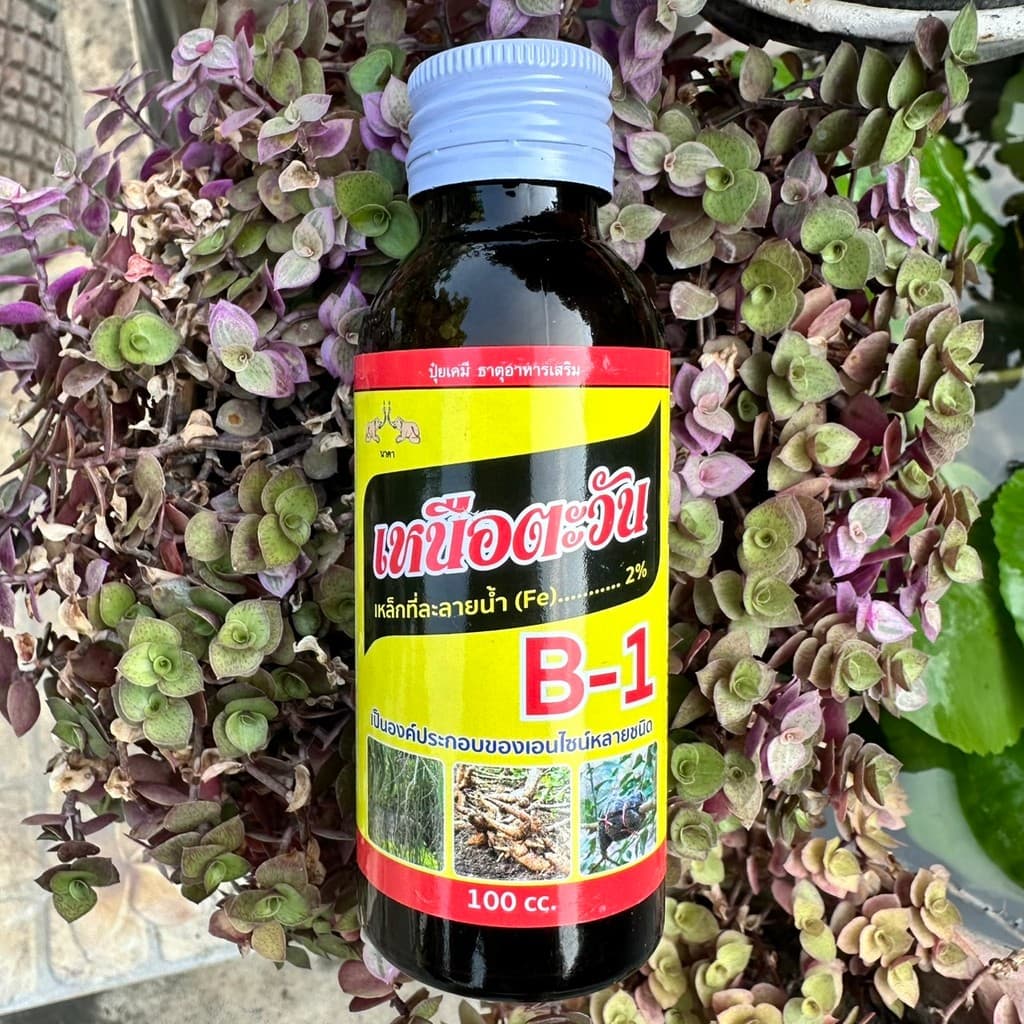 น้ำยาเร่งราก B-1 บีวัน Speed B1 Extra Plus ขนาด 100 ซีซี มีวิตามิน B1+กรดอะมิโน รูปที่ 3