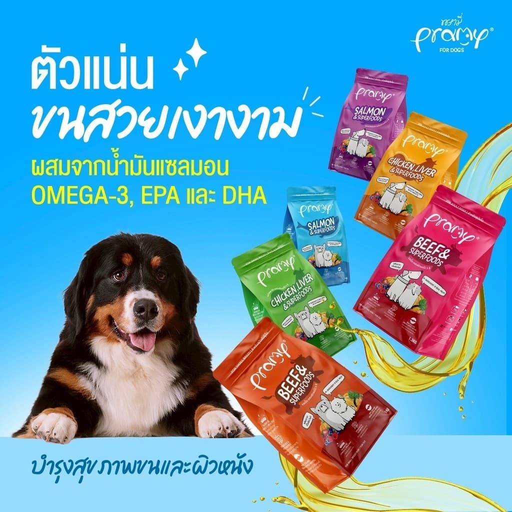 Pramy พรามี่ อาหารเม็ดสุนัข ทำจากเนื้อสัตว์แท้ ไม่มีผลพลอยได้จากสัตว์ปีก ดูแลครบ ยกกระสอบ 8 - 10 KG รูปที่ 7
