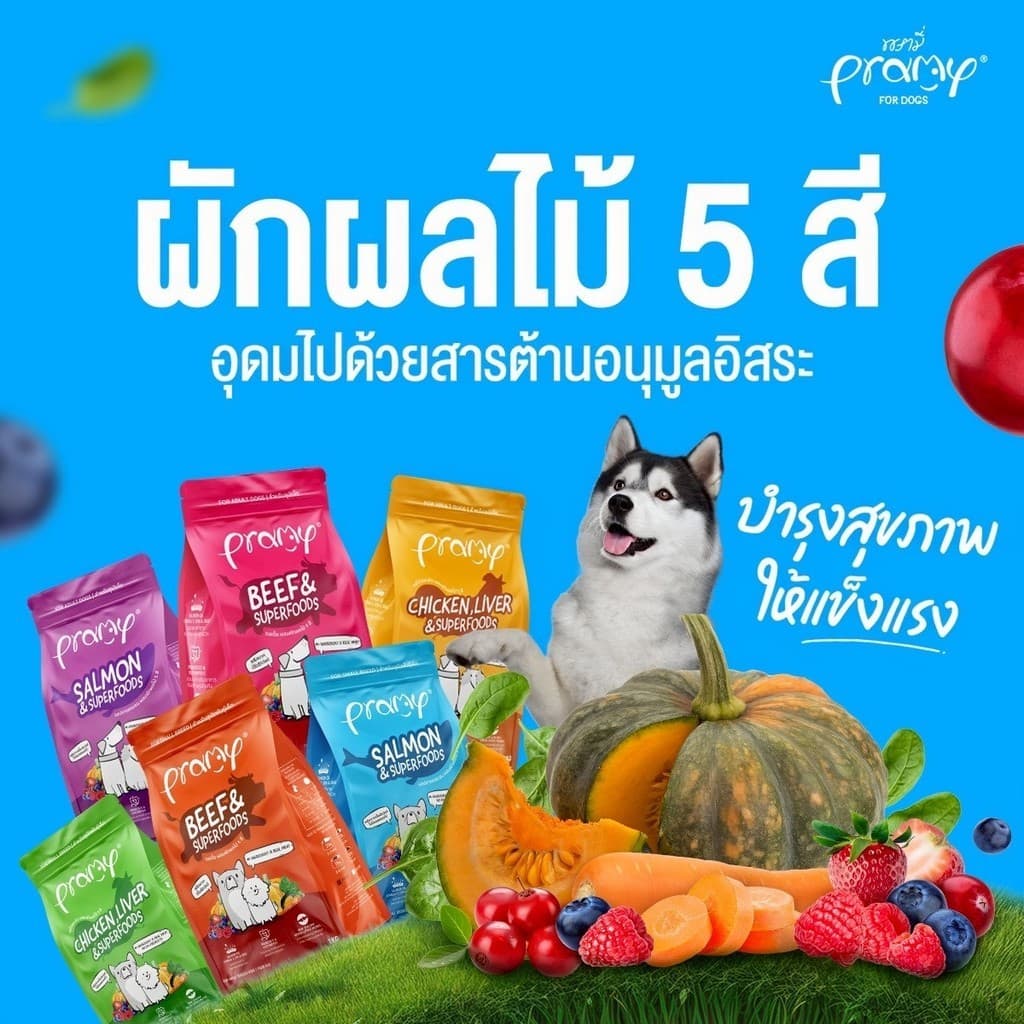 Pramy พรามี่ อาหารเม็ดสุนัข ทำจากเนื้อสัตว์แท้ ไม่มีผลพลอยได้จากสัตว์ปีก ดูแลครบ ยกกระสอบ 8 - 10 KG รูปที่ 2