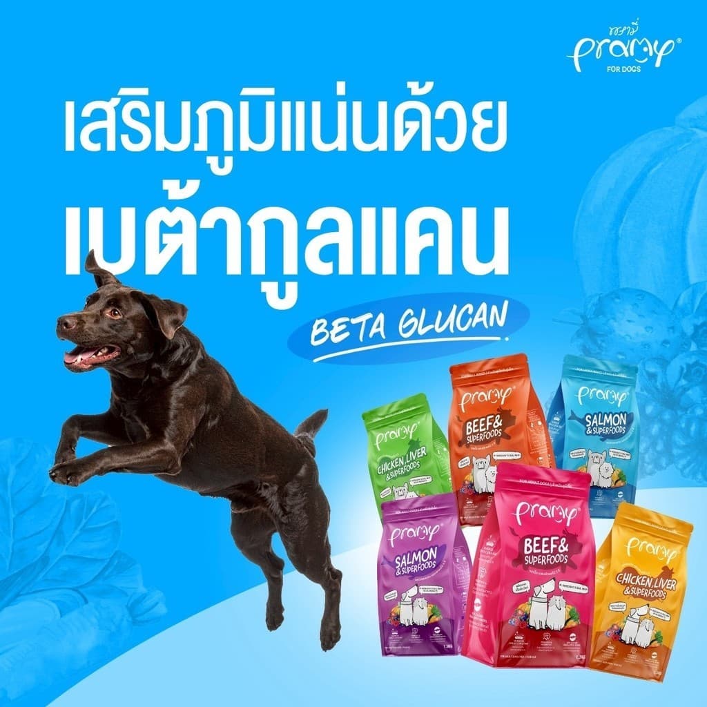 Pramy พรามี่ อาหารเม็ดสุนัข ทำจากเนื้อสัตว์แท้ ไม่มีผลพลอยได้จากสัตว์ปีก ดูแลครบ ยกกระสอบ 8 - 10 KG รูปที่ 5