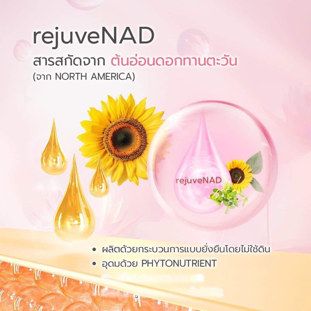 แท้/ดีลสุดคุ้ม/ไลฟ์ทุกวัน BSC Lotus Brightening Boost Gel Serum เจลเซรั่ม รูปที่ 5
