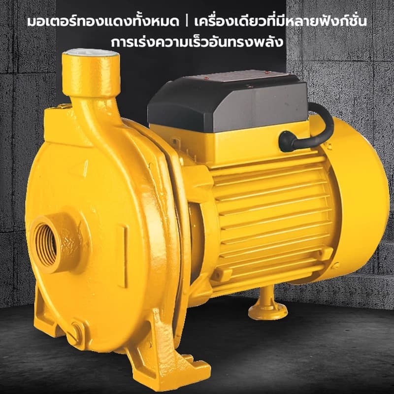 ปั๊มน้ำหอยโข่ง 1นิ้ว/2นิ้ว/3นิ้ว แรงม้า ปั้มหอยโข่ง ปั้มน้ำแรงดัน 1500W ปั้มน้ำ ใบพัดทองเหลือง ทนทาน รูปที่ 2