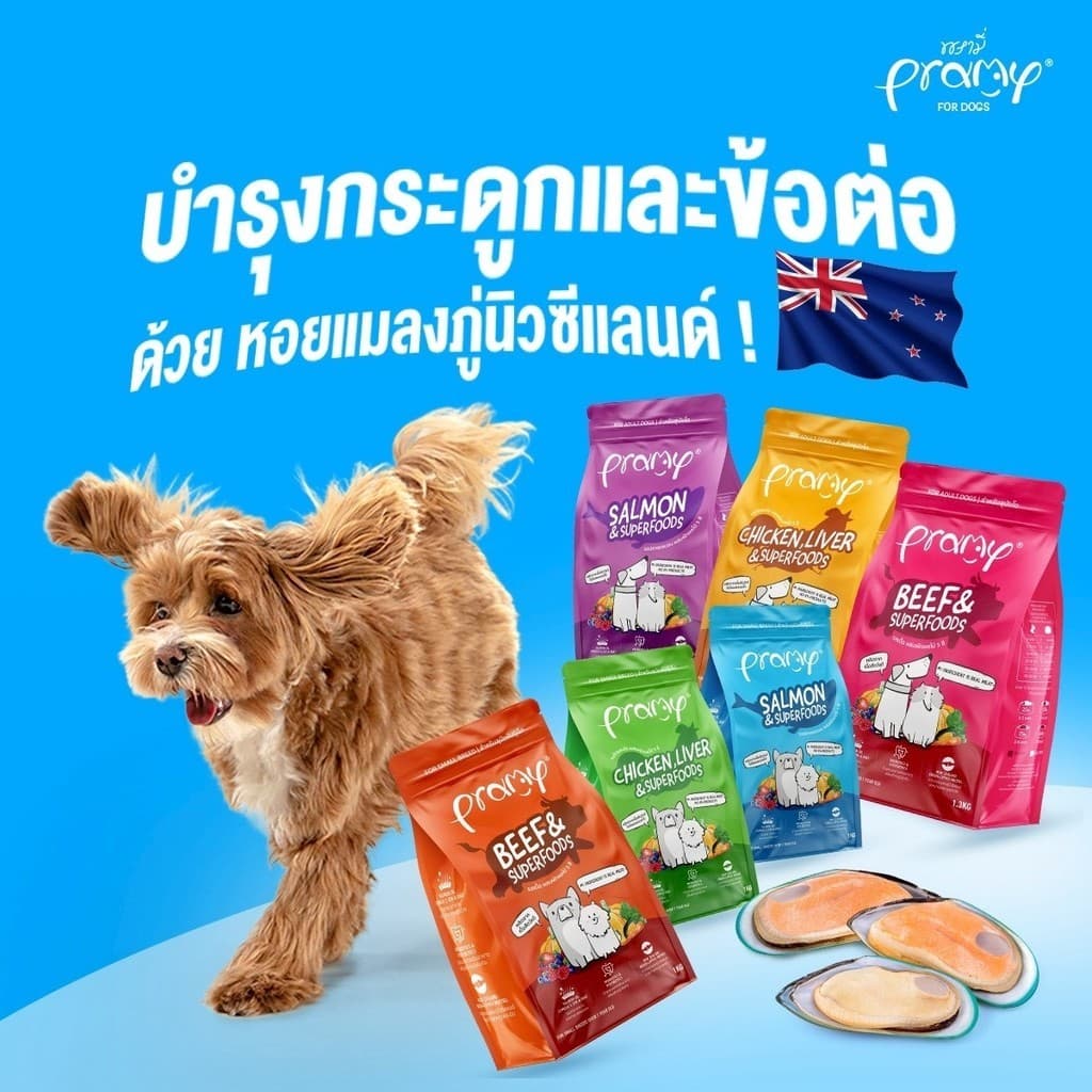 Pramy พรามี่ อาหารเม็ดสุนัข ทำจากเนื้อสัตว์แท้ ไม่มีผลพลอยได้จากสัตว์ปีก ดูแลครบ ยกกระสอบ 8 - 10 KG รูปที่ 4