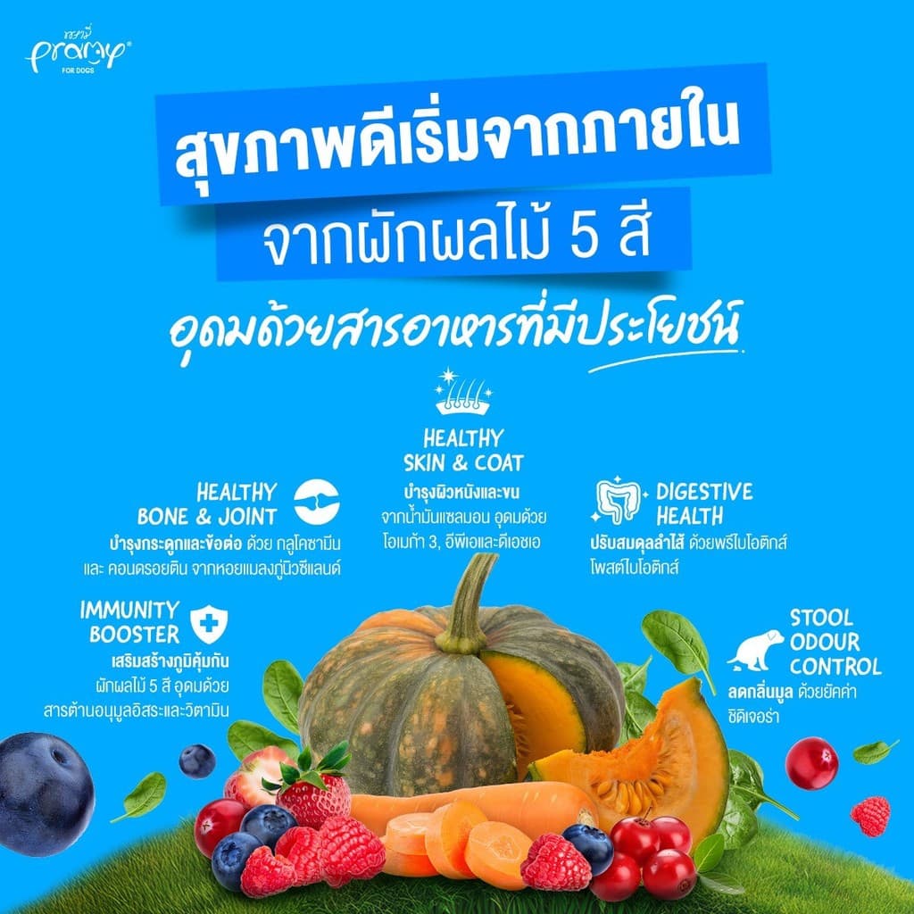 Pramy for Dogs พรามี่ อาหารเม็ดสุนัขเกรดพรีเมี่ยม พันธุ์เล็กและพันธุ์ใหญ่ขนาด 1 - 1.3Kg รูปที่ 6