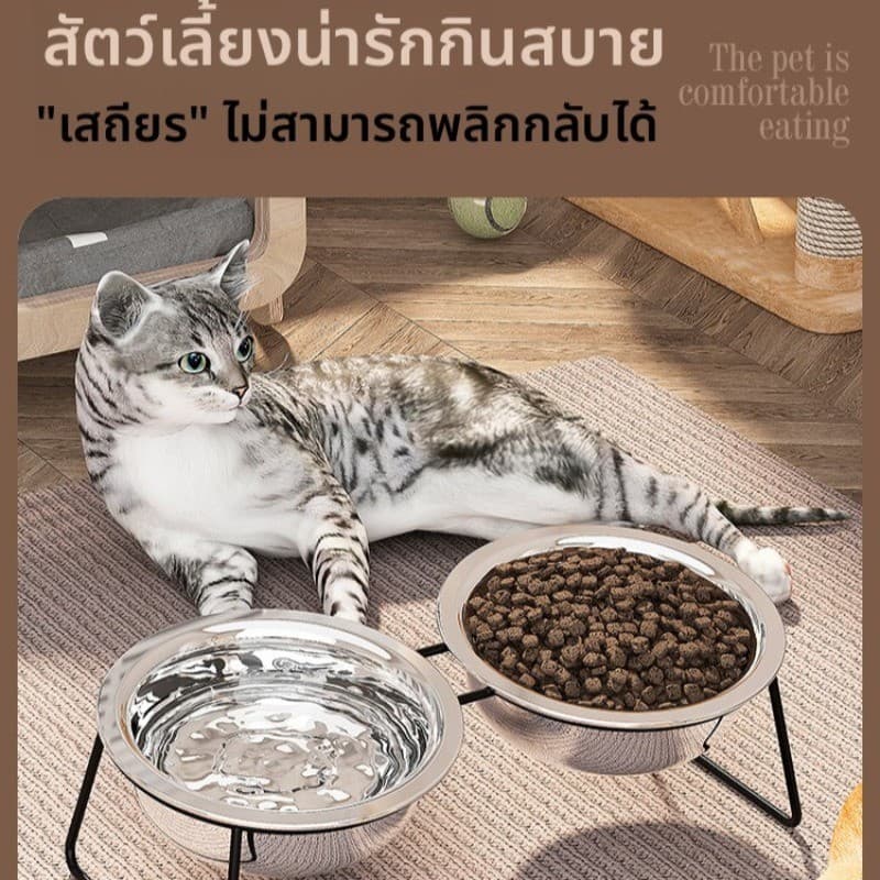 COD ชามแมวสแตนเลส ชามอาหารสัตว์เลี้ยง ชามคู่สแตนเลส ชามสุนัข ใส่อาหารหมา ปลอดภัย ทำความสะอาดง่าย รูปที่ 9