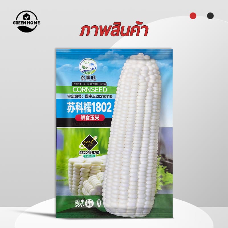 เมล็ดพันธุ์ ข้าวโพดหวาน ฮอกไกโด ข้าวโพดนมสด ทานดิบได้ ทานสดได้ จำนวน 35 เมล็ด ปลูกได้ทุกที่ รูปที่ 6