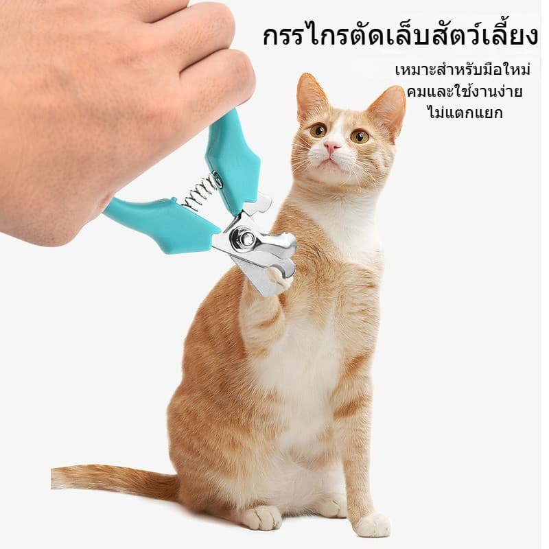 กรรไกรตัดเล็บสัตว์เลี้ยงแบบใบมีดสแตนเลสคุณภาพดี กรรไกรตัดเล็บสุนัข–แมว ใบมีดสแตนเลส คม ทนทาน ปลอดภัย รูปที่ 3