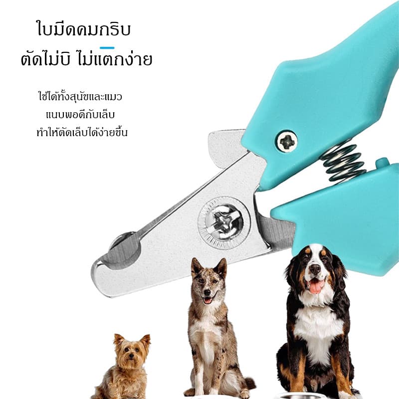 กรรไกรตัดเล็บสัตว์เลี้ยงแบบใบมีดสแตนเลสคุณภาพดี กรรไกรตัดเล็บสุนัข–แมว ใบมีดสแตนเลส คม ทนทาน ปลอดภัย รูปที่ 2