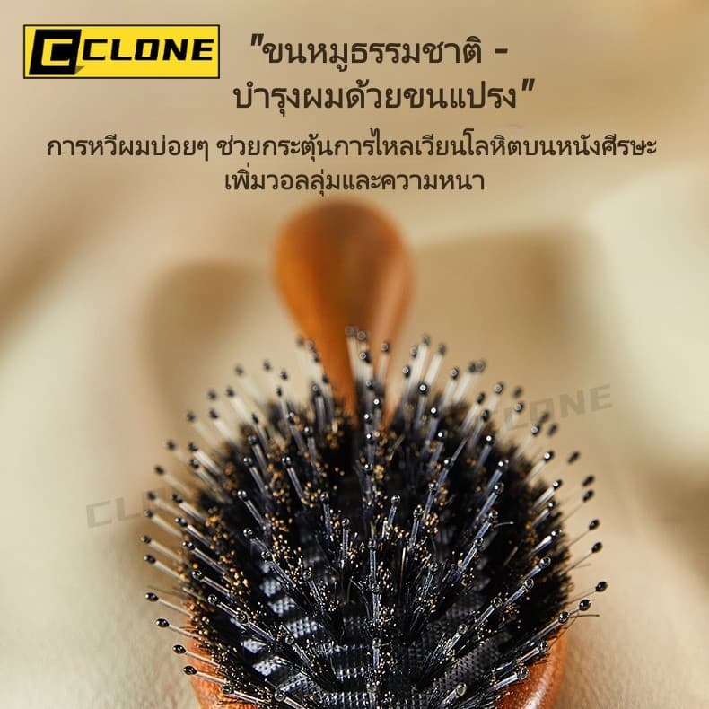 แปรงหวีผมขนหมูป่าธรรมชาติ ด้ามไม้จันทน์สีทอง ช่วยให้ผมเรียบลื่น ลดไฟฟ้าสถิต และนวดหนังศีรษะ รูปที่ 3