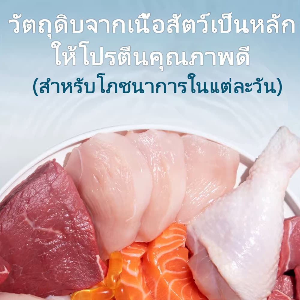 อาหารเปียกแมว บำรุงขน เกรนฟรี ไม่เติมเกลือ โปรตีนสูง สุขภาพดี อาหารแมวเปียก อาหารเปียกลูกแมว 70g รูปที่ 2