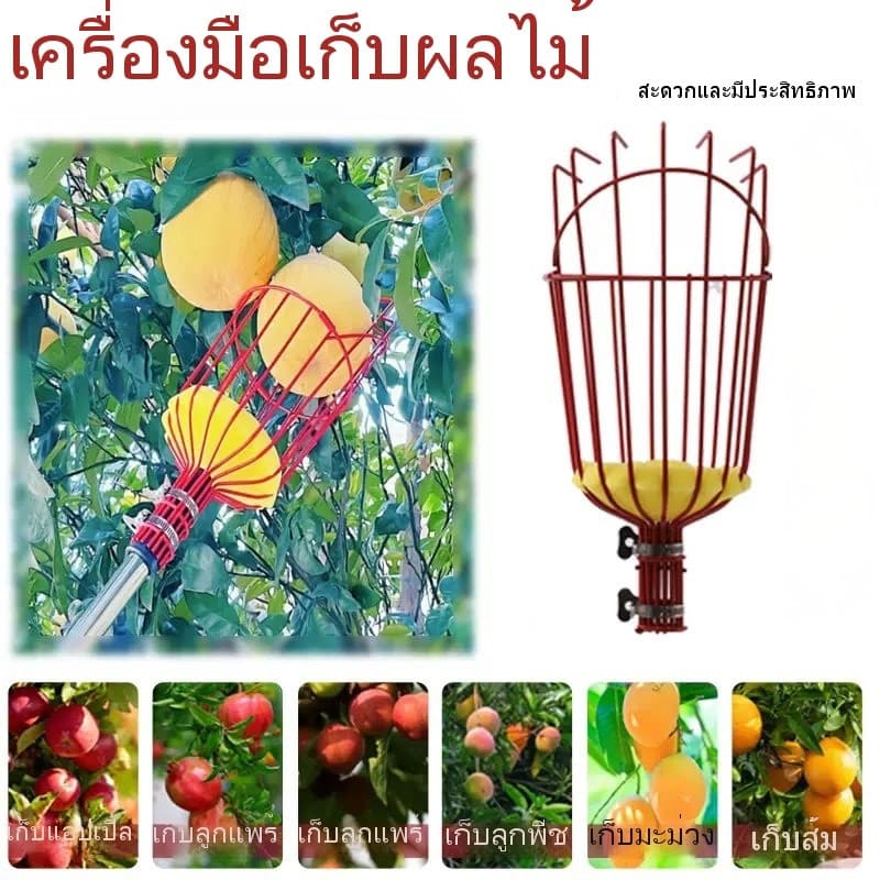DZB HOMEE ที่สอยผลไม้ สามารถถอดออกได้ ตะกร้าลึก คุณภาพดี ทันสมัย เก็บผลได้เยอะ พร้อมจัดส่งสินค้า รูปที่ 7