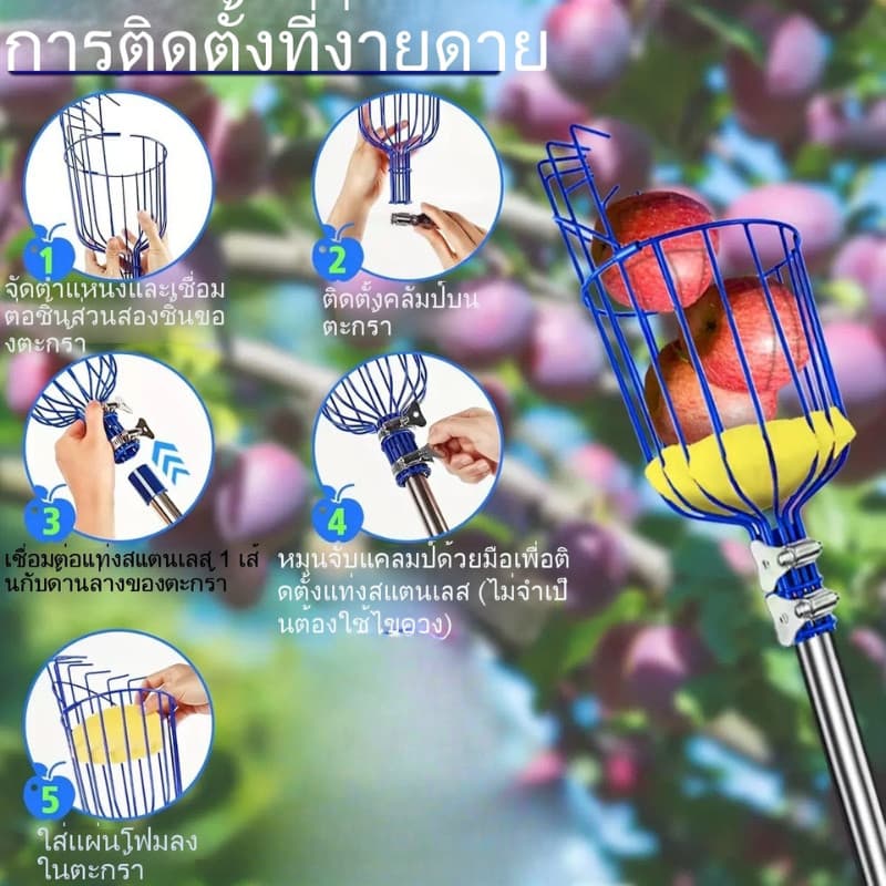 DZB HOMEE ที่สอยผลไม้ สามารถถอดออกได้ ตะกร้าลึก คุณภาพดี ทันสมัย เก็บผลได้เยอะ พร้อมจัดส่งสินค้า รูปที่ 9