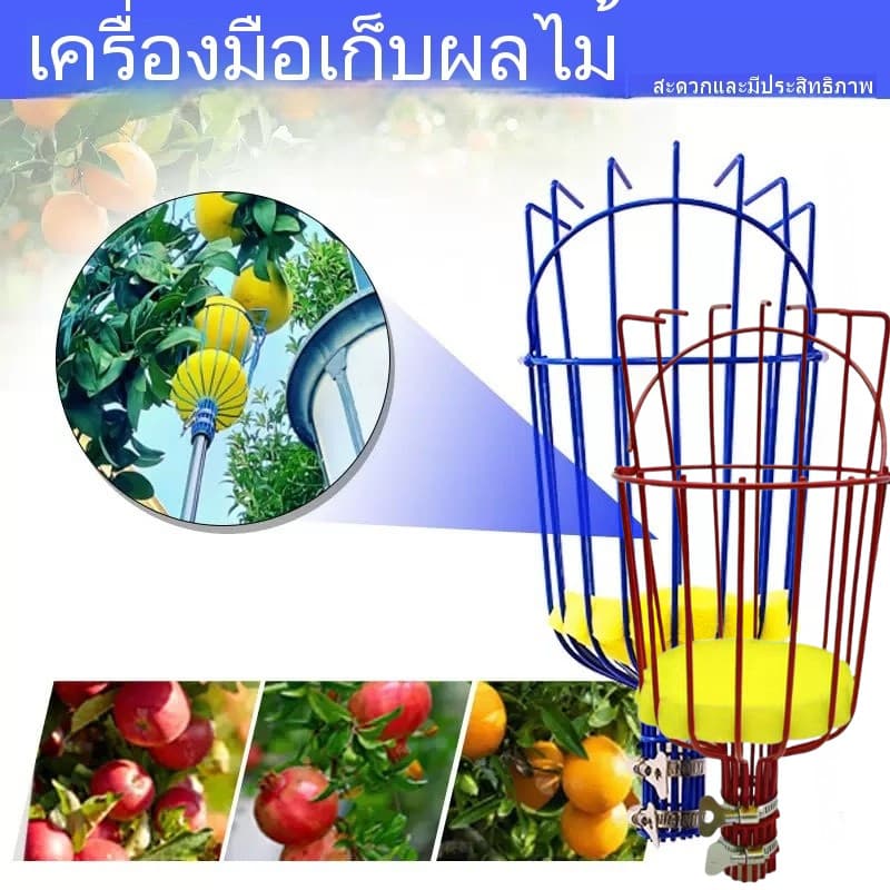 DZB HOMEE ที่สอยผลไม้ สามารถถอดออกได้ ตะกร้าลึก คุณภาพดี ทันสมัย เก็บผลได้เยอะ พร้อมจัดส่งสินค้า รูปที่ 3