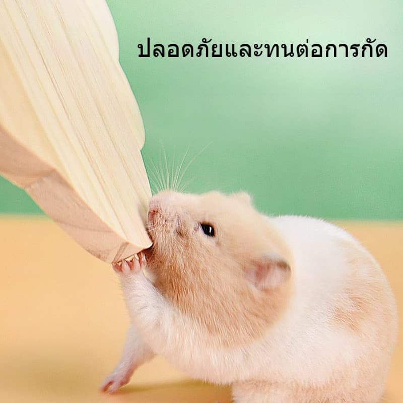บ้านไม้และของเล่น บ้าน2ชั้น แฮมเตอร์ สัตว์เลี้ยงขนาดเล็ก ทำจากไม้เคลือบลามิเนต คุณภาพดี คงทนเนื้อแข็ง รูปที่ 5
