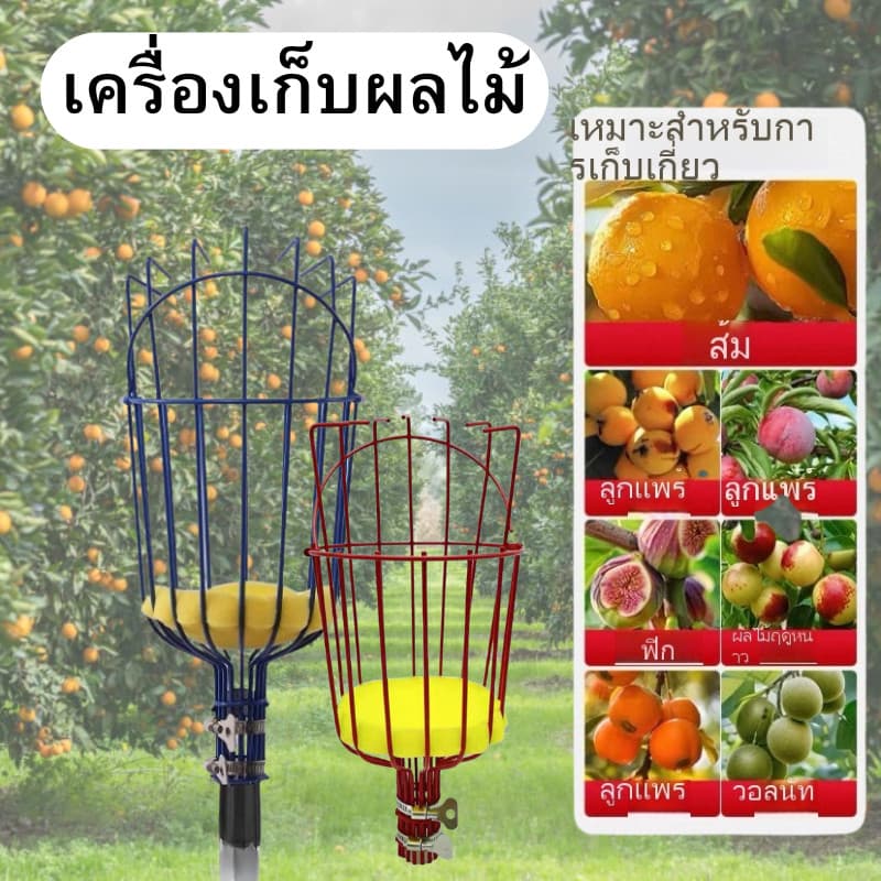 DZB HOMEE ที่สอยผลไม้ สามารถถอดออกได้ ตะกร้าลึก คุณภาพดี ทันสมัย เก็บผลได้เยอะ พร้อมจัดส่งสินค้า รูปที่ 5