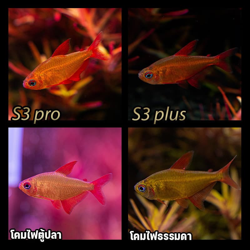 COD โคมไฟตู้ปลา WRGB 8/13W ปรับมุมได้ 360° คลิปกันน้ำ เลี้ยงพืชน้ำ ปลอดภัย แรงดันไฟต่ำ ไฟสว่าง สีสันสดชัด รูปที่ 3