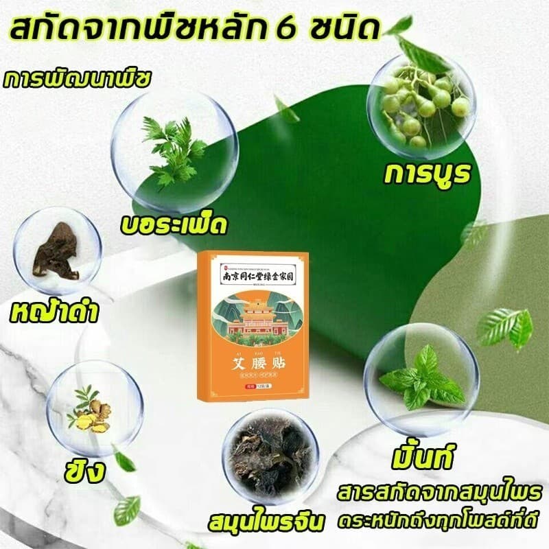 แผ่นลดน้ำหนัก แผ่นแปะลดพุง 12 แผ่น/กล่อง ส่วนผสมจากธรรมชาติ ลดน้ำหนักปลอดภัย แผ่นสมุนไพรไท่ห่าว รูปที่ 4