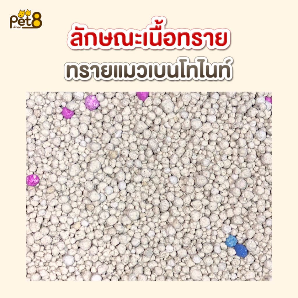 PET8 Cat Kitchen Space Catz ทรายแมว เบนโทไนท์ 10 ลิตร ไร้ฝุ่น จับตัวเป็นก้อน เก็บกลิ่นได้ดี รูปที่ 3