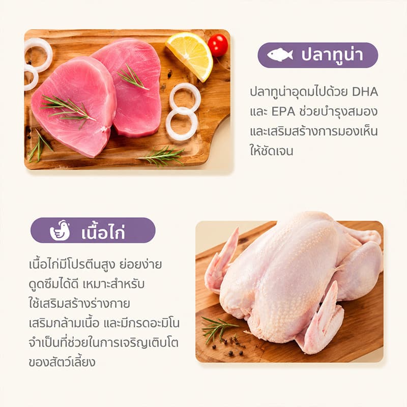 อาหารเปียกแมว บำรุงขน เกรนฟรี ไม่เติมเกลือ โปรตีนสูง สุขภาพดี อาหารแมวเปียก อาหารเปียกลูกแมว 70g รูปที่ 3