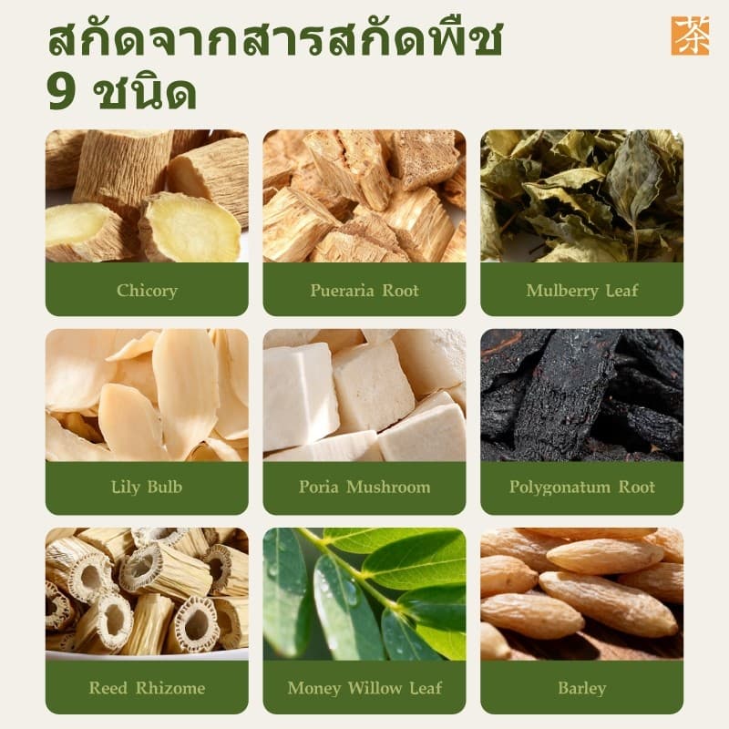 Expce ชาสมุนไพรเพื่อสุขภาพ 9 สมุนไพร ดื่มง่าย 12 ซอง เพื่อสุขภาพ รูปที่ 6