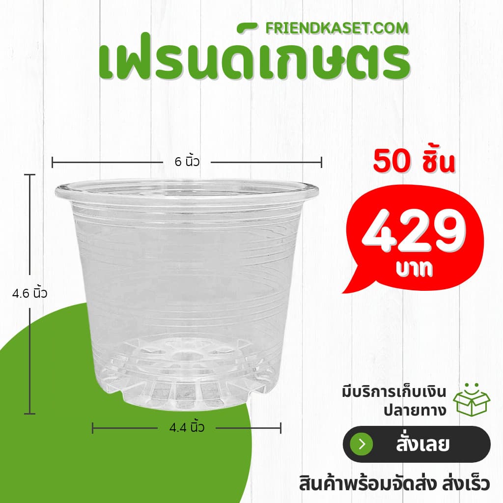 กระถาง กระถางต้นไม้ กระถางใส เบอร์ 6 นิ้ว รูปที่ 6