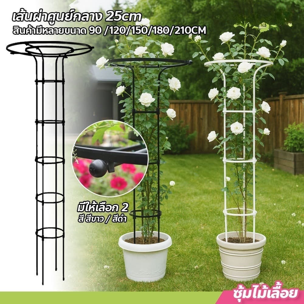 ซุ้มไม้เลื้อย ทรงร่ม สูง เถาวัลย์ ดอกไม้ยึด ซุ้มไม้ระแนง ซุ้มกุหลาบ ซุ้มกุหลาบเลื้อย โครงกุหลาบเลื้อย ซุ้มไม้เลื้อย รูปที่ 1