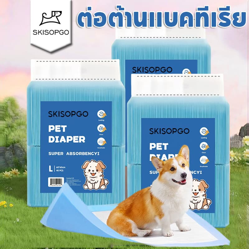SKSISOPGO แผ่นรองฉี่สุนัข แผ่นรองฉี่แมว แผ่นรองซับ ช่วยฝึกขับถ่าย ซึมซับได้ดี 200PCSต่อต้านแบคทีเรีย รูปที่ 1