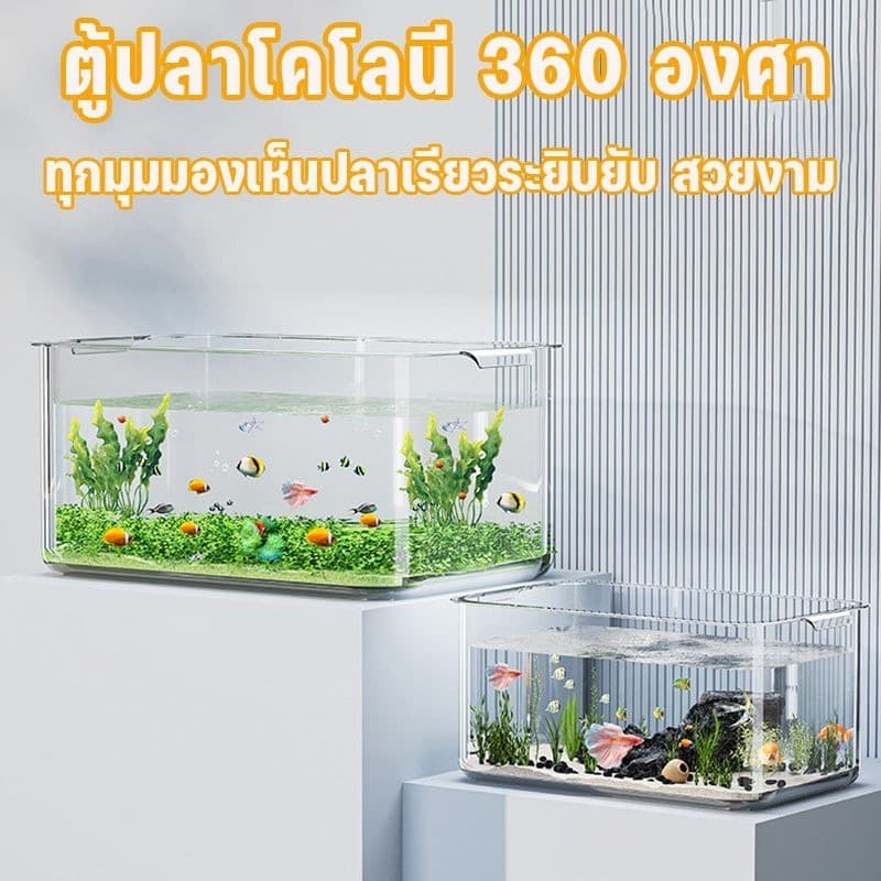 COD ตู้ปลาพลาสติก ทำความสะอาดง่าย มีความโปร่งใสเหมือน4K แข็งแรงทนทาน ดูได้ 360 องศา อควาเรียม รูปที่ 6