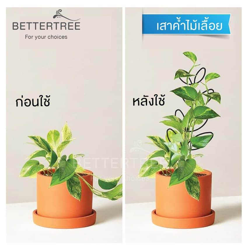 เสาพลาสติกค้ำไม้เลื้อย ช่วยพยุงไม้เลื้อย รูปที่ 3