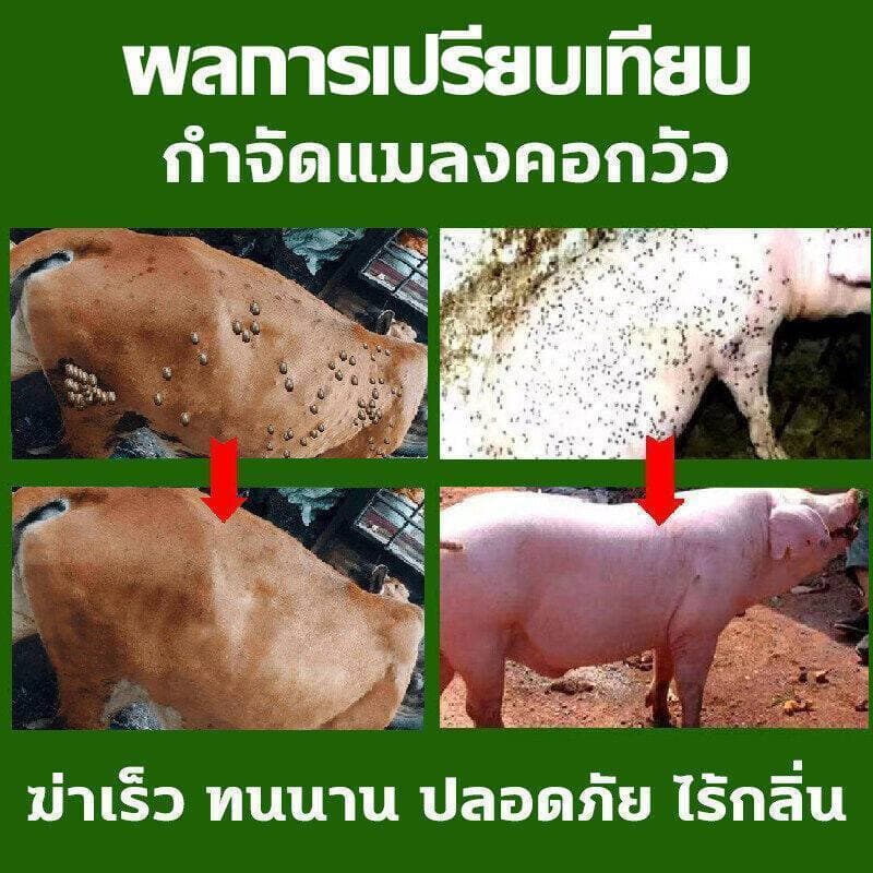 สเปรย์ไล่แมลงวัน ไล่แมลงวัน 2500มล ยาไล่แมลงวันฟาร์ม ยาฆ่าแมลงวัน ยาฆ่าแมลง สเปร ปลอดสารพิษ ไม่มีกลิ่น ยาไล่แมลงวันฟาร์ม รูปที่ 2