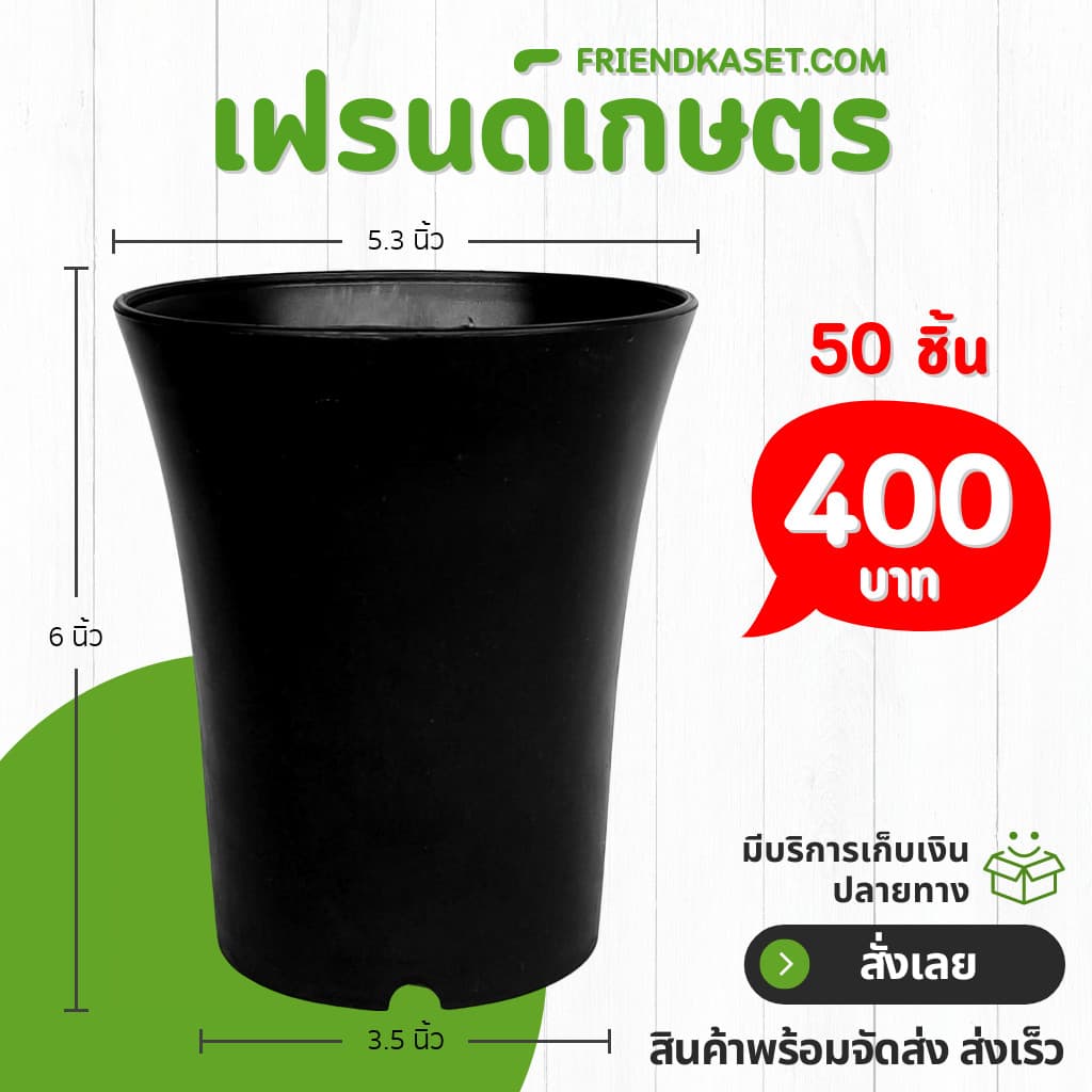 กระถาง กระถางต้นไม้ กระถางใส เบอร์ 6 นิ้ว รูปที่ 8