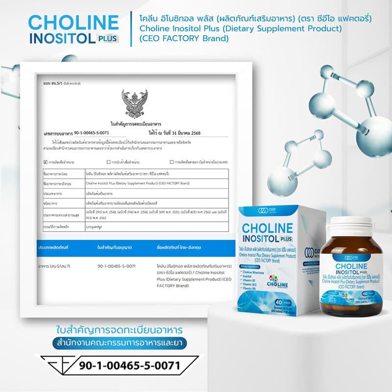 CEO Factory Choline Inositol Plus 40 Capsules ผลิตภัณฑ์เสริมอาหาร ซีอีโอ แฟคตอรี่ แมกนีเซียม กาบา คอมเพล็กซ์. รูปที่ 2