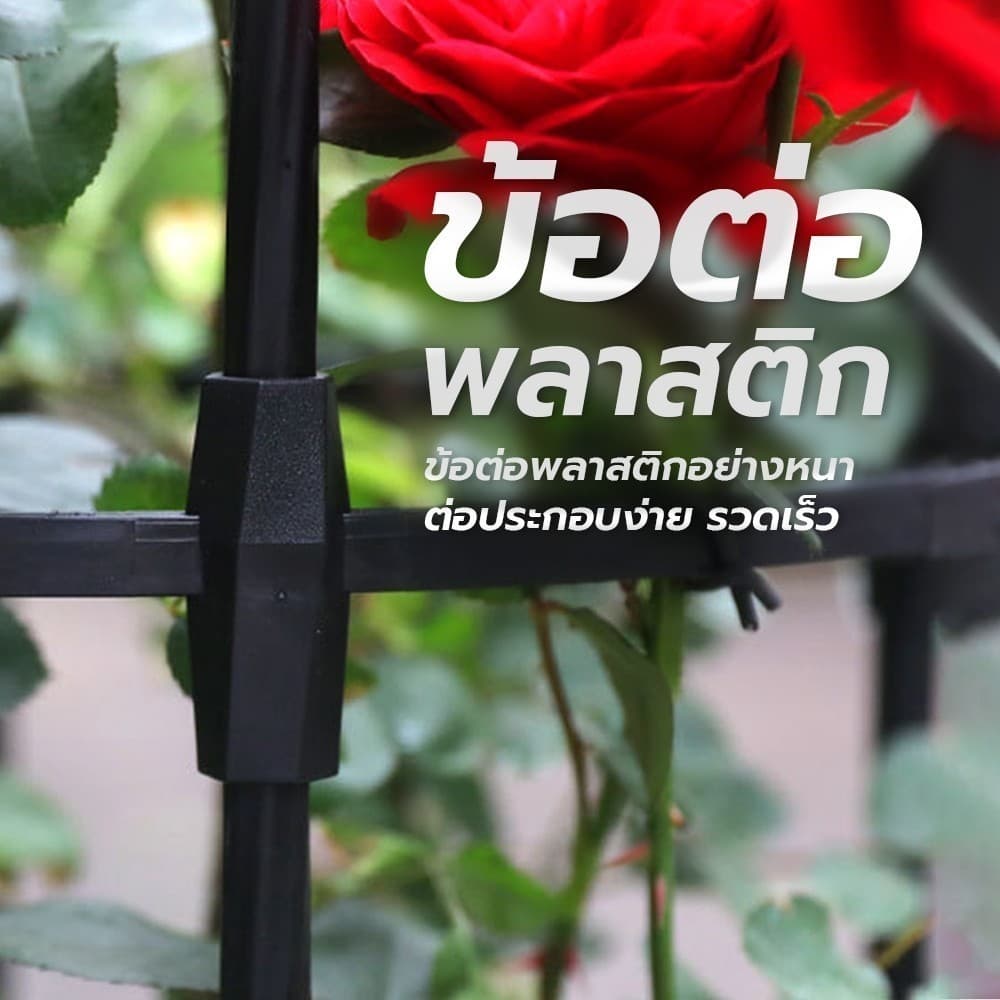 ซุ้มไม้เลื้อย ทรงร่ม สูง เถาวัลย์ ดอกไม้ยึด ซุ้มไม้ระแนง ซุ้มกุหลาบ ซุ้มกุหลาบเลื้อย โครงกุหลาบเลื้อย ซุ้มไม้เลื้อย รูปที่ 6